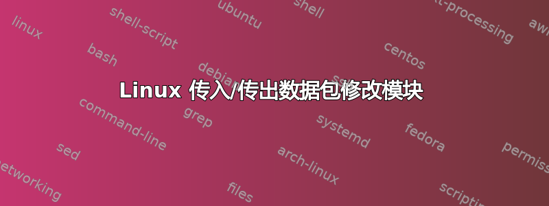 Linux 传入/传出数据包修改模块