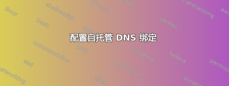 配置自托管 DNS 绑定