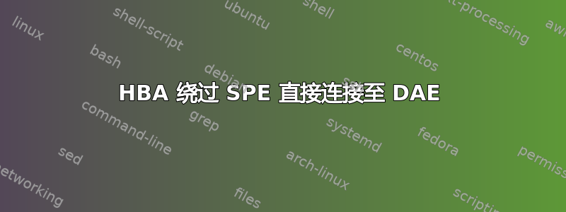 HBA 绕过 SPE 直接连接至 DAE