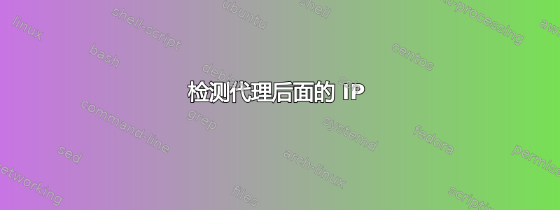 检测代理后面的 IP