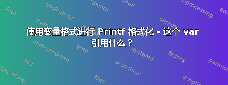 使用变量格式进行 Printf 格式化 - 这个 var 引用什么？