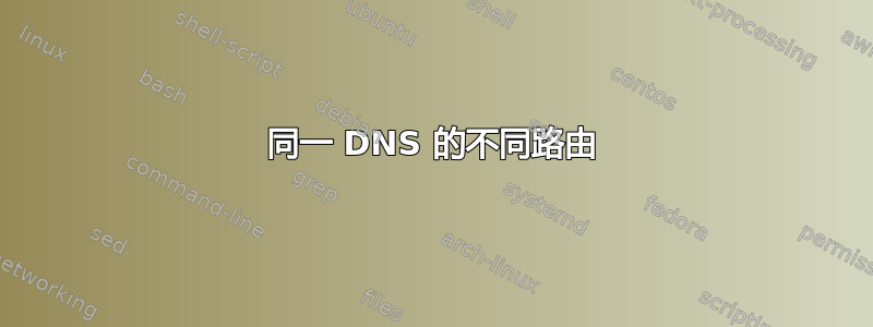 同一 DNS 的不同路由