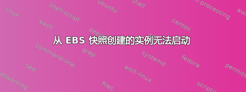 从 EBS 快照创建的实例无法启动