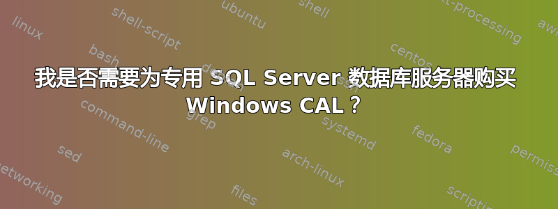 我是否需要为专用 SQL Server 数据库服务器购买 Windows CAL？