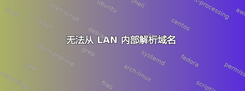 无法从 LAN 内部解析域名