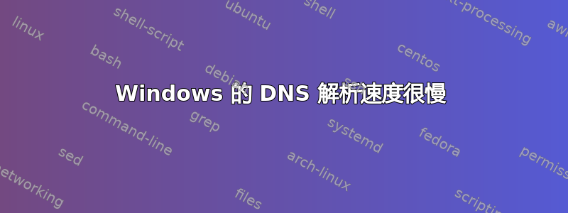 Windows 的 DNS 解析速度很慢