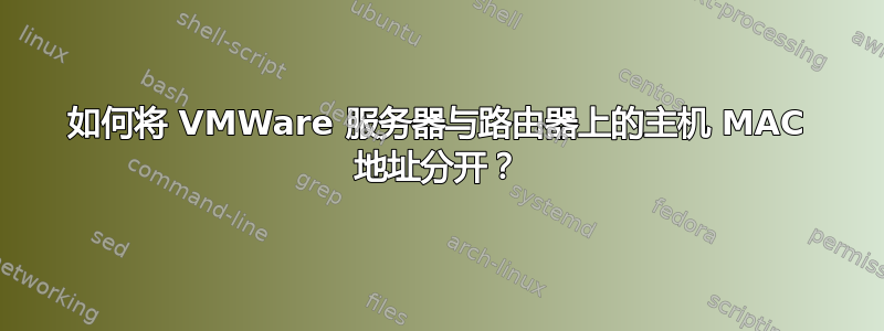 如何将 VMWare 服务器与路由器上的主机 MAC 地址分开？