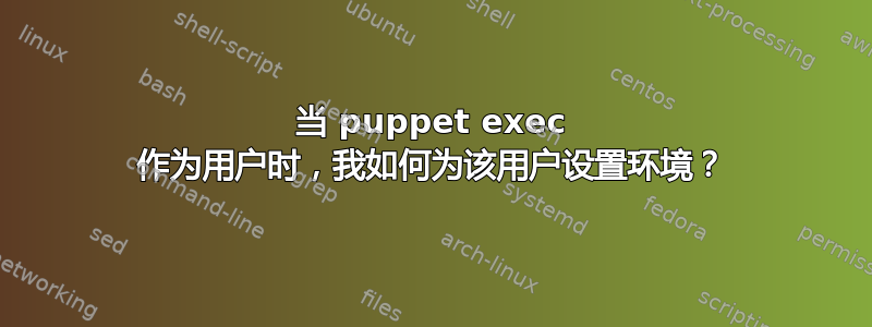 当 puppet exec 作为用户时，我如何为该用户设置环境？