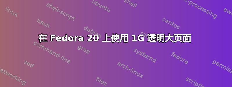 在 Fedora 20 上使用 1G 透明大页面