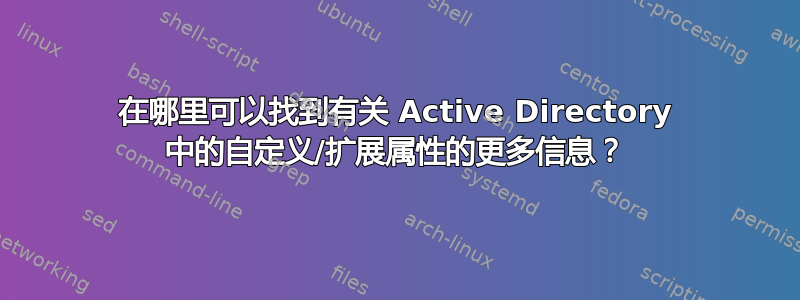 在哪里可以找到有关 Active Directory 中的自定义/扩展属性的更多信息？