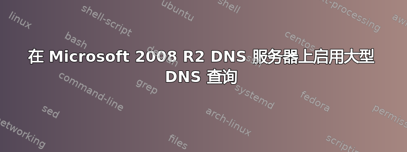 在 Microsoft 2008 R2 DNS 服务器上启用大型 DNS 查询