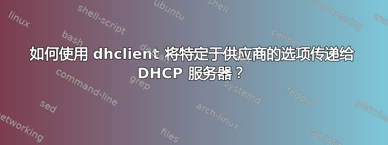 如何使用 dhclient 将特定于供应商的选项传递给 DHCP 服务器？