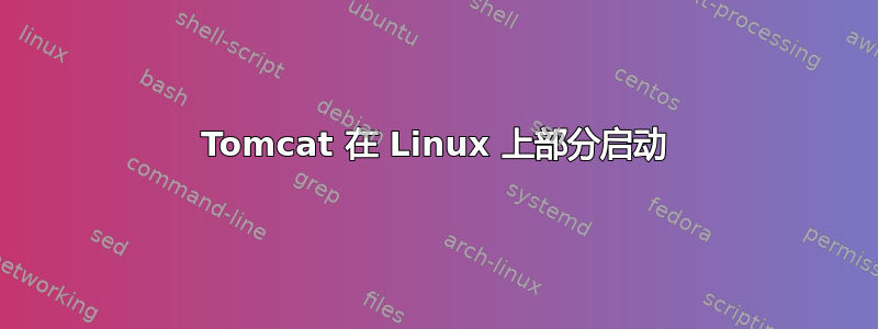 Tomcat 在 Linux 上部分启动