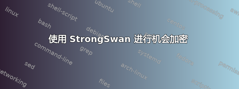 使用 StrongSwan 进行机会加密