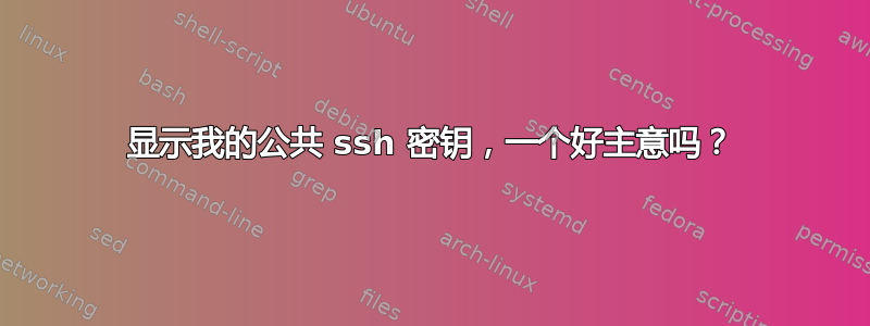 显示我的公共 ssh 密钥，一个好主意吗？