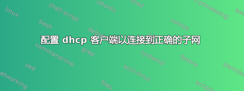 配置 dhcp 客户端以连接到正确的子网