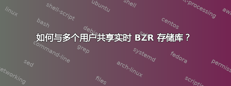 如何与多个用户共享实时 BZR 存储库？