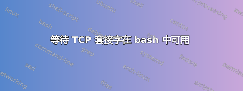 等待 TCP 套接字在 bash 中可用