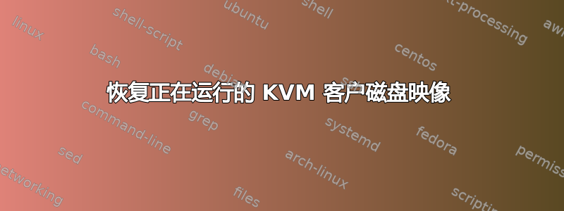 恢复正在运行的 KVM 客户磁盘映像