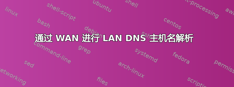 通过 WAN 进行 LAN DNS 主机名解析 