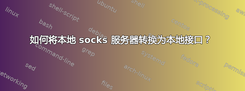 如何将本地 socks 服务器转换为本地接口？