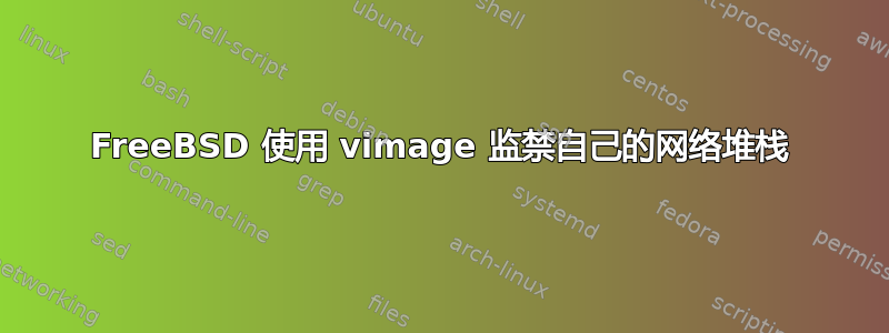 FreeBSD 使用 vimage 监禁自己的网络堆栈