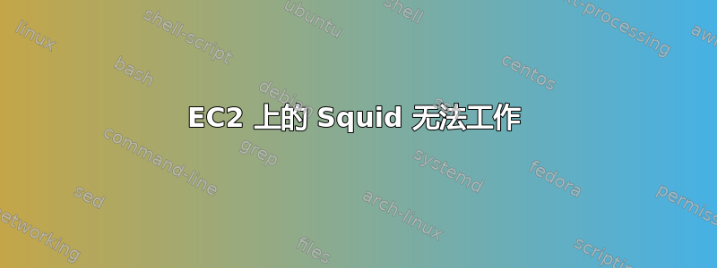 EC2 上的 Squid 无法工作