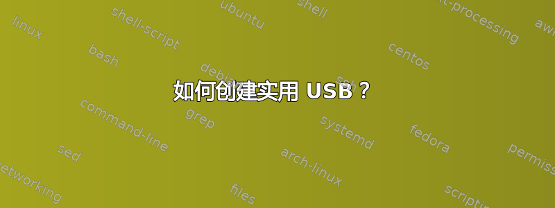 如何创建实用 USB？