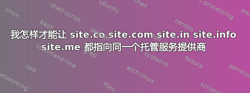 我怎样才能让 site.co site.com site.in site.info site.me 都指向同一个托管服务提供商