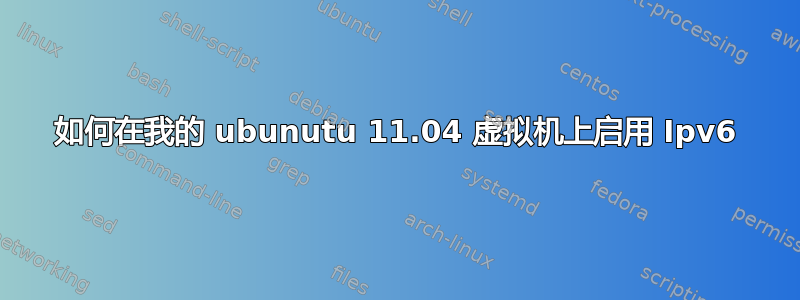 如何在我的 ubunutu 11.04 虚拟机上启用 Ipv6