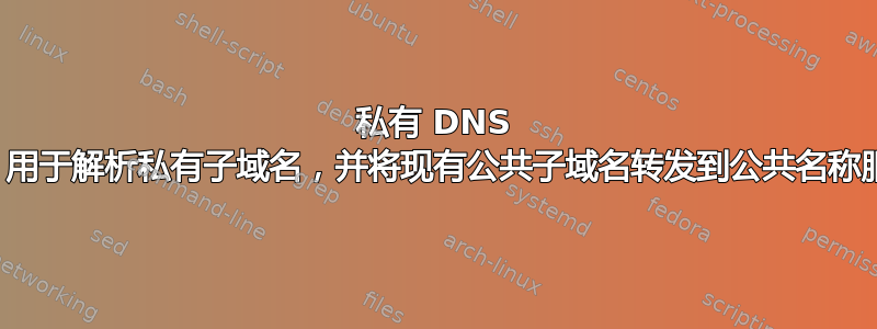 私有 DNS 区域，用于解析私有子域名，并将现有公共子域名转发到公共名称服务器