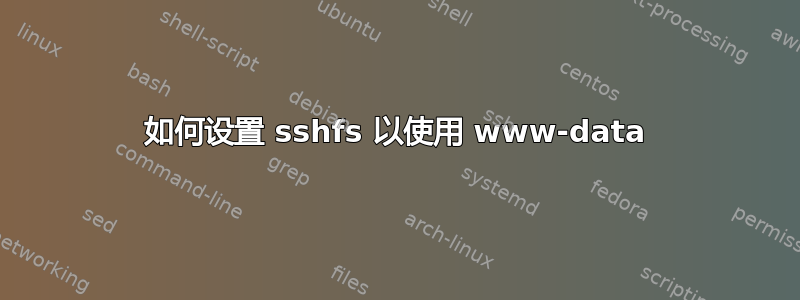 如何设置 sshfs 以使用 www-data