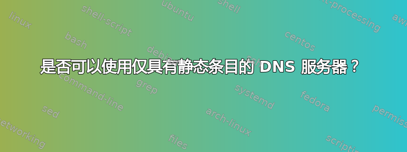 是否可以使用仅具有静态条目的 DNS 服务器？