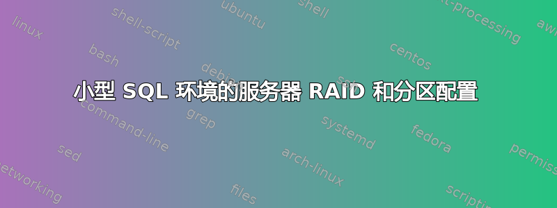 小型 SQL 环境的服务器 RAID 和分区配置