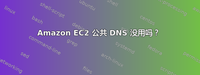 Amazon EC2 公共 DNS 没用吗？