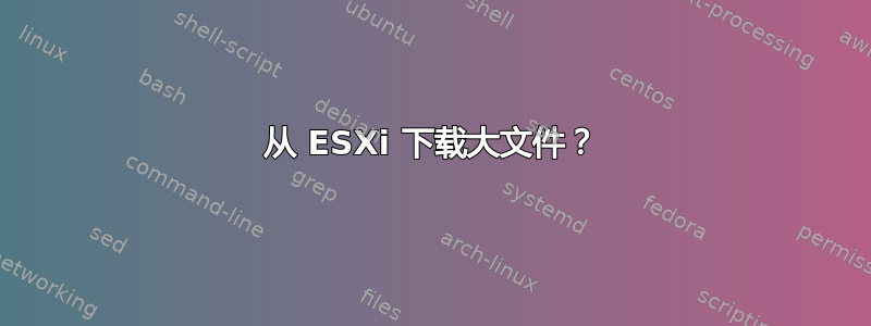 从 ESXi 下载大文件？