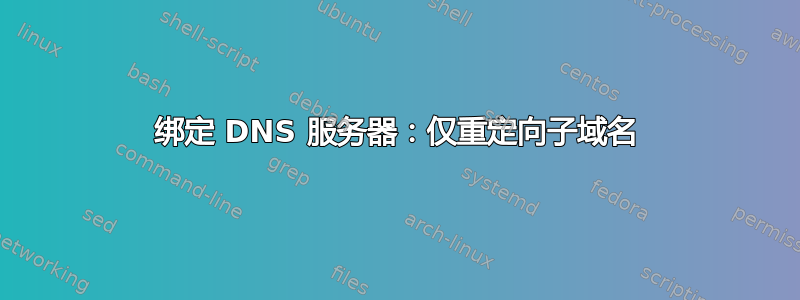 绑定 DNS 服务器：仅重定向子域名