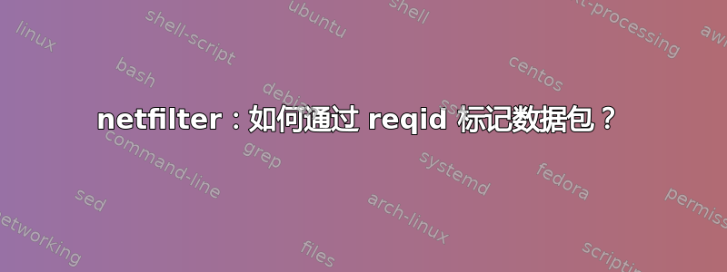 netfilter：如何通过 reqid 标记数据包？