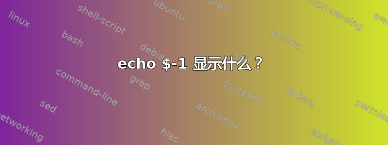 echo $-1 显示什么？