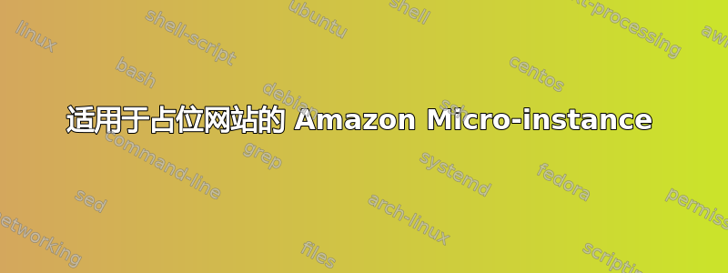 适用于占位网站的 Amazon Micro-instance