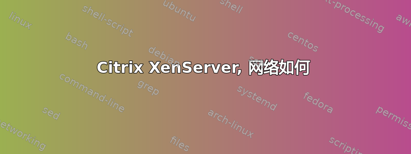 Citrix XenServer, 网络如何