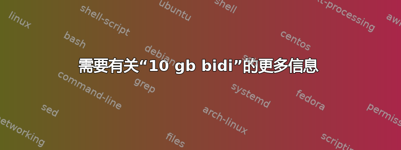 需要有关“10 gb bidi”的更多信息