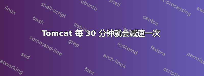 Tomcat 每 30 分钟就会减速一次