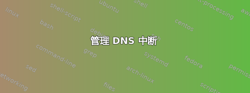 管理 DNS 中断