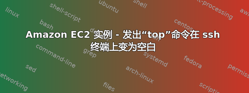 Amazon EC2 实例 - 发出“top”命令在 ssh 终端上变为空白