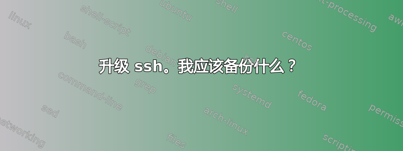 升级 ssh。我应该备份什么？