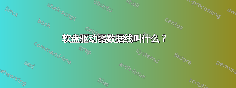 软盘驱动器数据线叫什么？ 