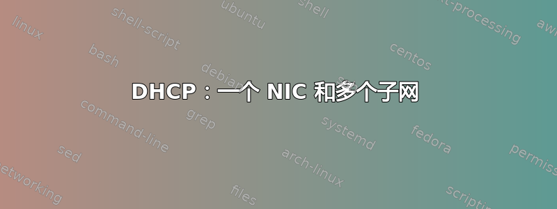 DHCP：一个 NIC 和多个子网