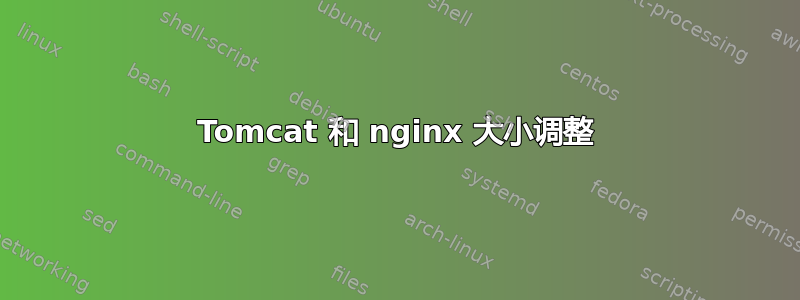 Tomcat 和 nginx 大小调整