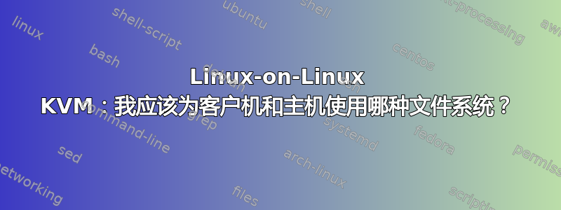 Linux-on-Linux KVM：我应该为客户机和主机使用哪种文件系统？